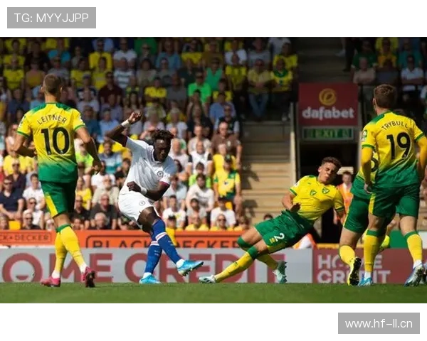 诺维奇转会市场净支出分析，未来走向备受关注