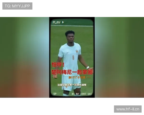 罗德里与楚阿梅尼：单点防守与扫荡型后腰的差距及角色互补分析