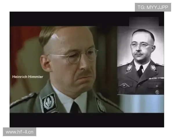 杜埃战术角色与实际贡献是否被高估解析